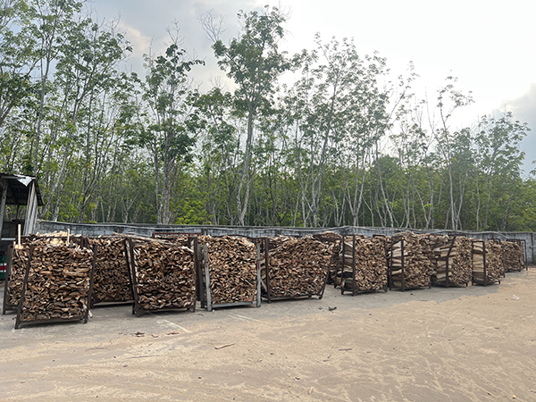 Khu vực cưa xẻ gỗ cao su