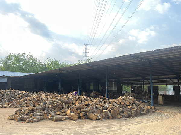 Khu vực cưa xẻ gỗ cao su