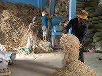 Xưởng sản xuất
