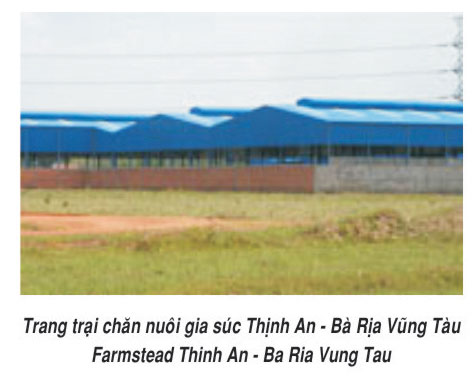 Khung nhà thép tiền chế