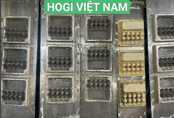 Khuôn bột giấy, khuôn định hình bột giấy
