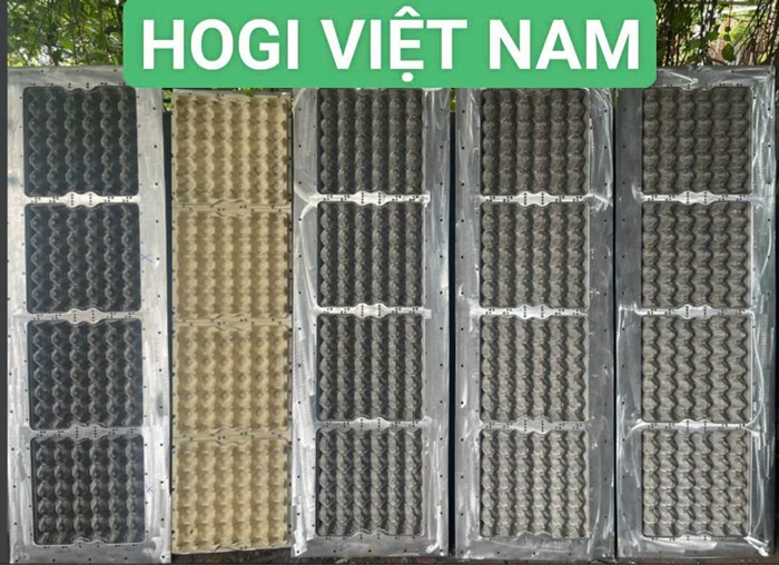 Khuôn bột giấy, khuôn định hình bột giấy