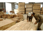 Kiểm soát côn trùng nhà máy gỗ