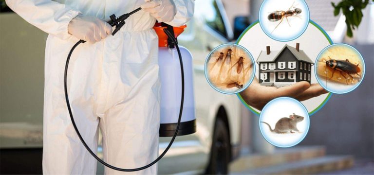 Dịch vụ kiểm soát côn trùng tổng hợp