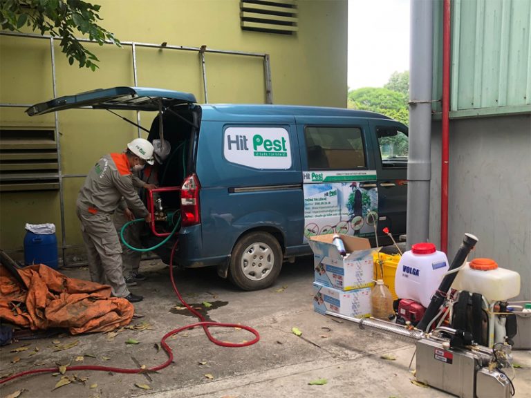 Dịch vụ kiểm soát côn trùng tổng hợp