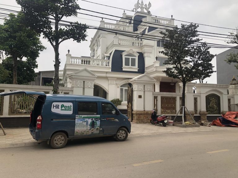 Dịch vụ kiểm soát côn trùng tổng hợp