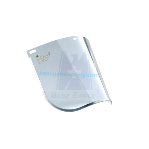Kính che mặt FC28T