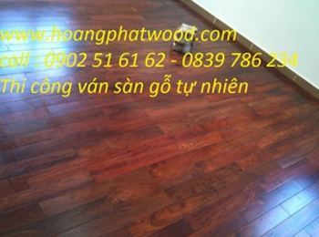 Nhóm gỗ I