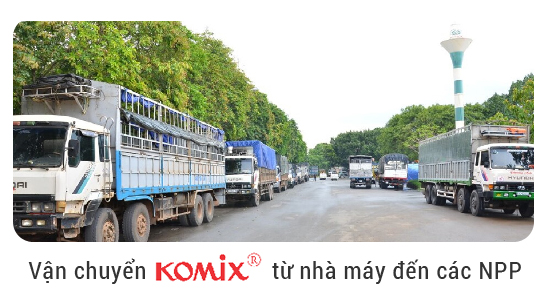 Đội xe vận chuyển công ty Thiên Sinh
