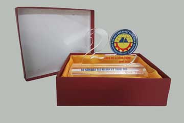 Kỷ niệm chương Mica