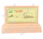 Kỷ niệm chương gỗ