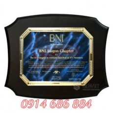 Kỷ niệm chương bằng gỗ