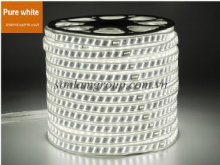 Led dây 220V 3 hàng