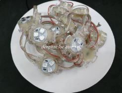 Led đục tròn F30