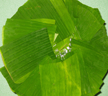 Lá chuối