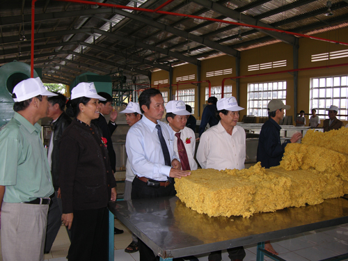 Lãnh đạo tập đoàn, tỉnh thăm quan nhà máy chế biến mủ