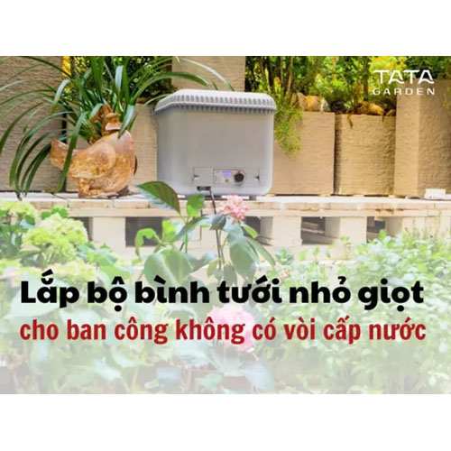 Lắp đặt bộ tưới nhỏ giọt tại Hà Nội