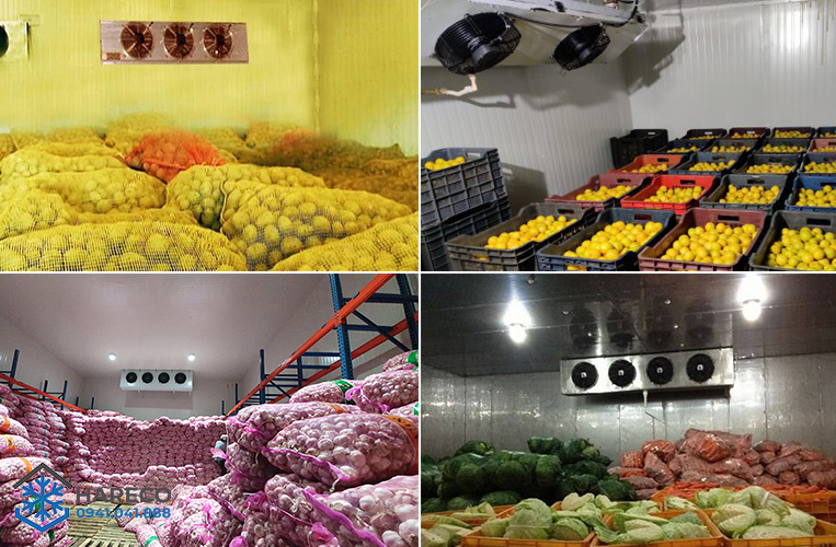 Thi công lắp đặt kho lạnh bảo quản nông sản
