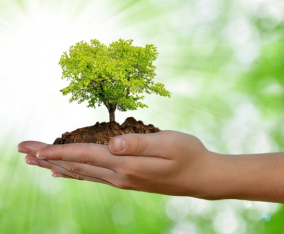 Lắp đề án bảo vệ môi trường