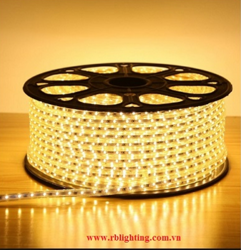 Led dây