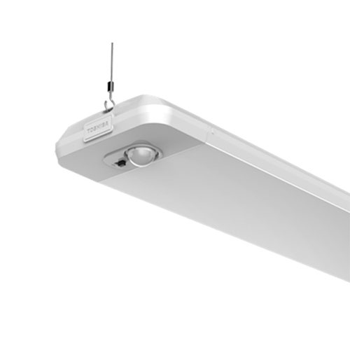 Linear light