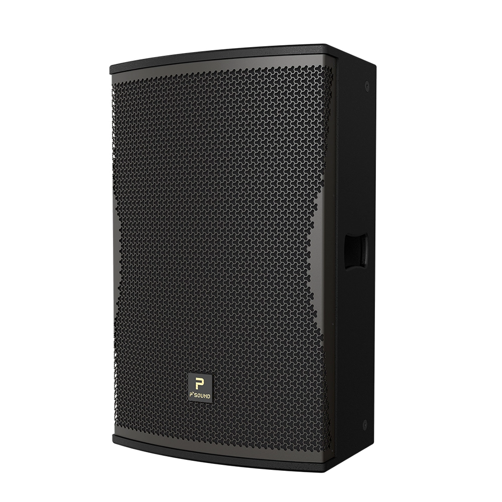 Loa P SOUND S-3040