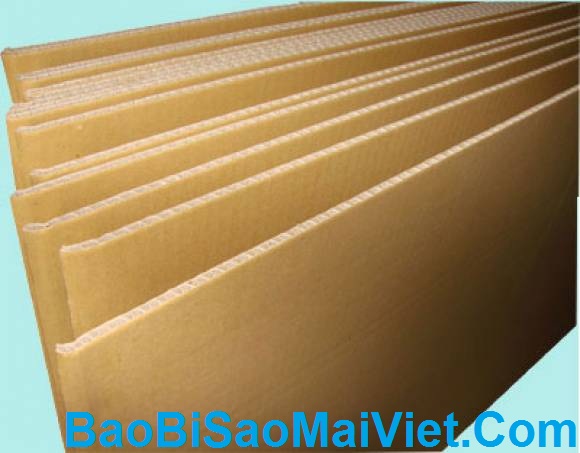 Bao bì carton