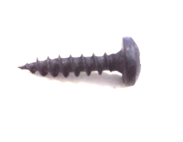 Bulong, ốc vít