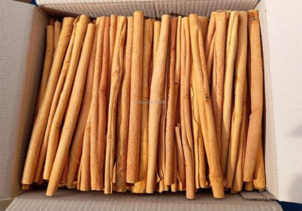 Quế dạng điếu dài