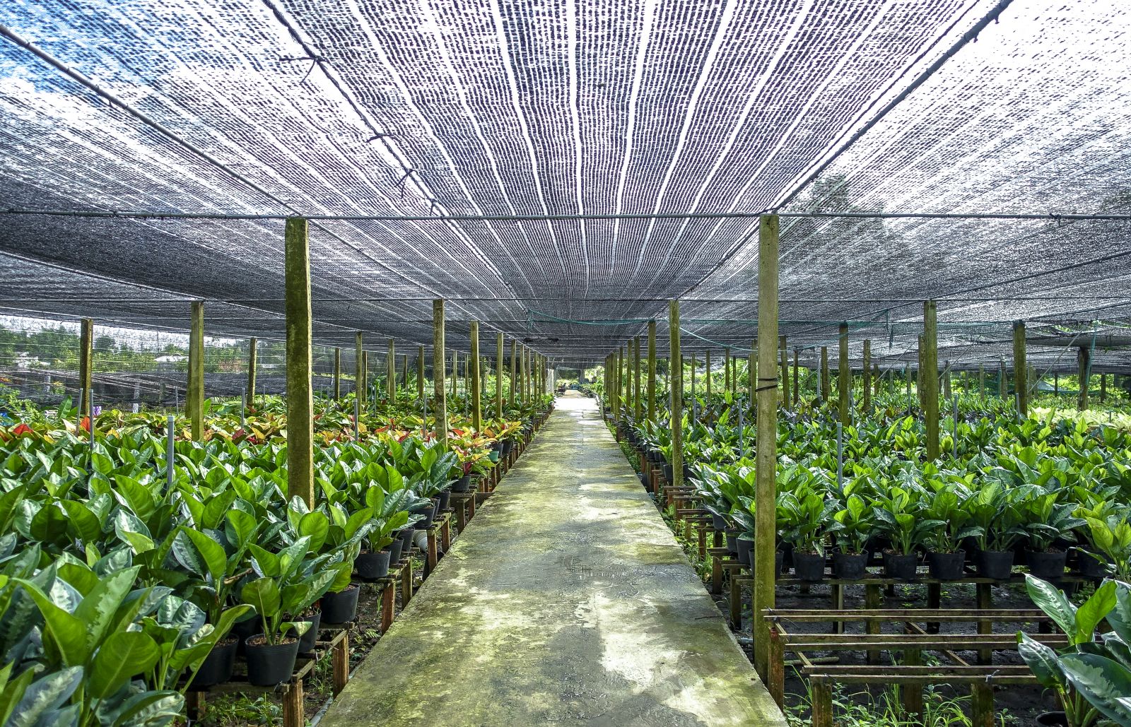Lưới che nắng
