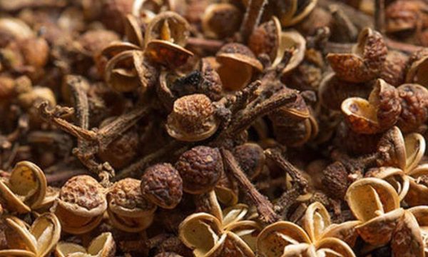 资质或荣誉图片