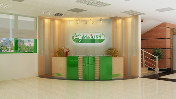 Dự án Tập đoàn Mai Linh