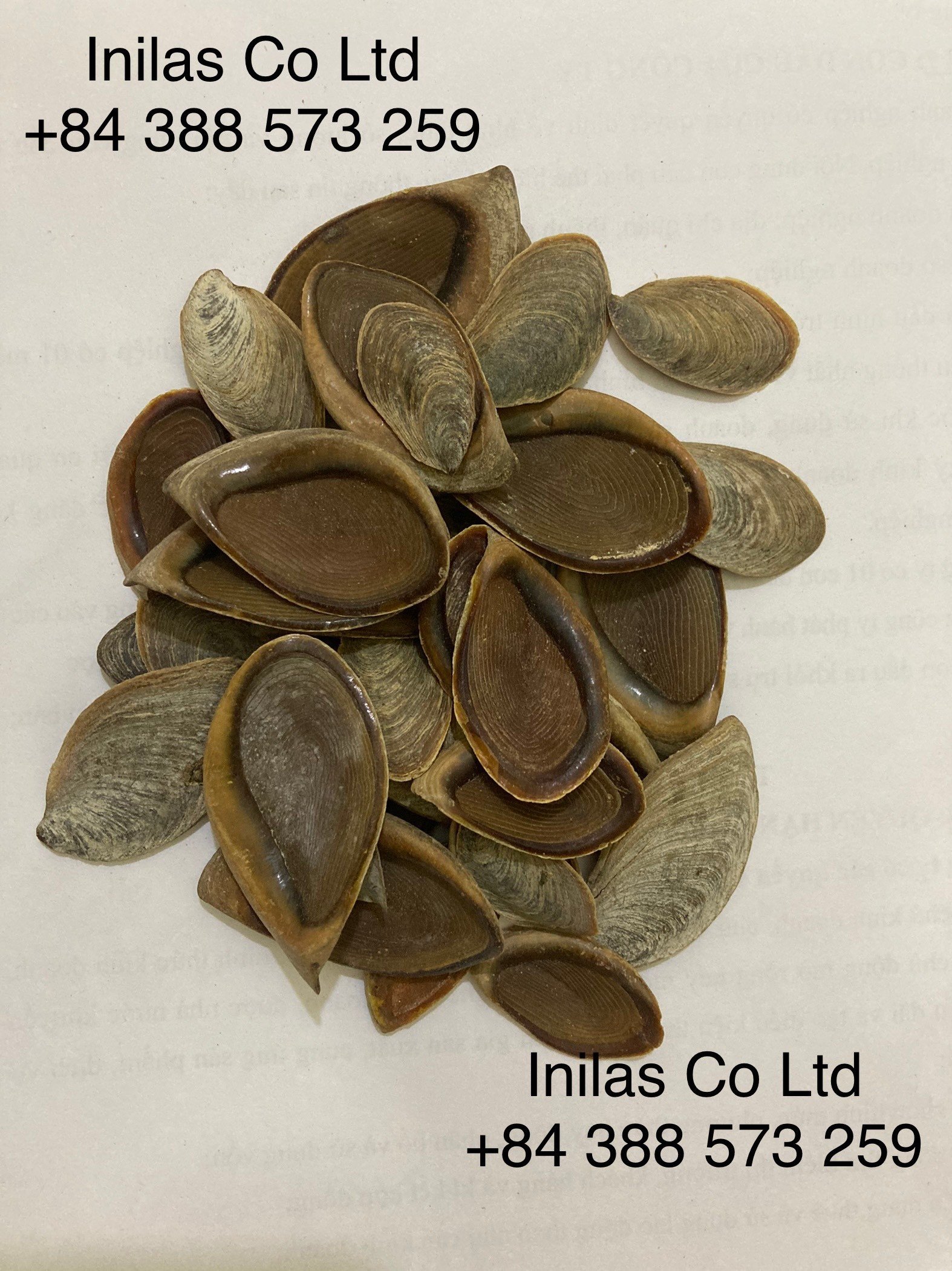 资质或荣誉图片