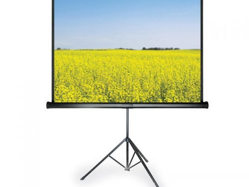 Màn chiếu 3 chân 100 inch