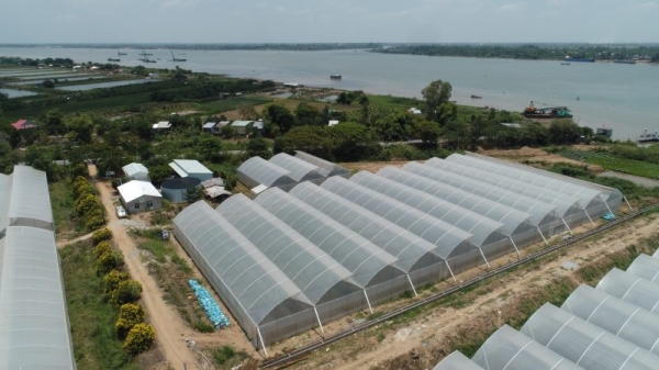 Màng PE Các loại