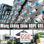 Mang GSE