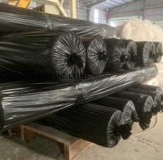 Màng LDPE phủ nông nghiệp