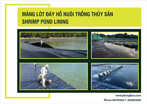 Màng lót đáy hồ nuôi trồng thủy sản