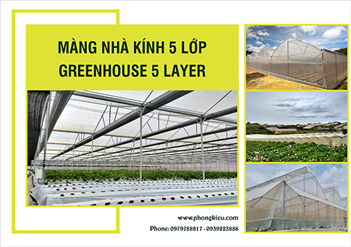Màng nhà kính 5 lớp
