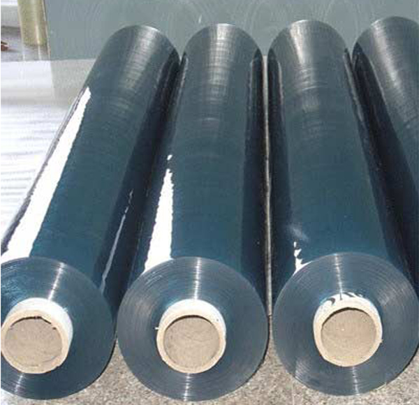 Màng PVC khổ lớn