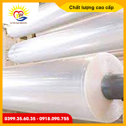 Màng PE khổ lớn