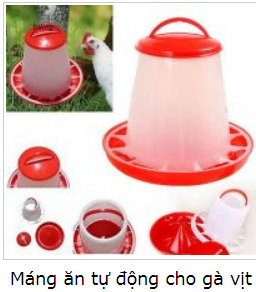 Máng ăn tự động cho gà, vịt