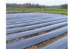 Màng lót sàn phủ đất nông nghiệp