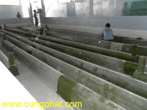 Màng xối