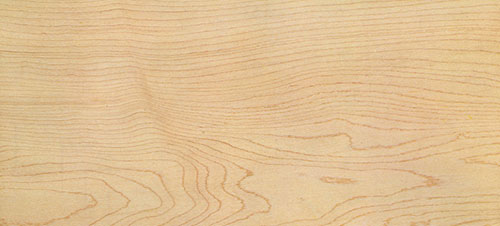 Gỗ Maple