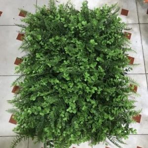 Vỉ cỏ mắt trâu dương sỉ