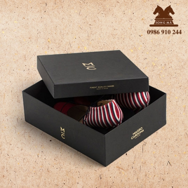 Mẫu đựng giày - HDG05