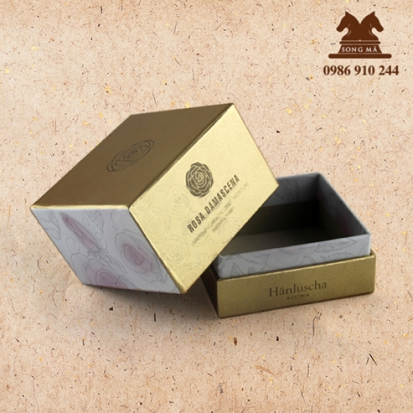 Mẫu hộp mỹ phẩm - HMP21