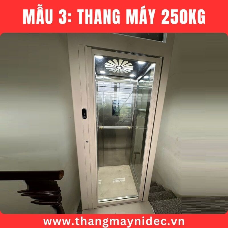 Thang máy 250kg