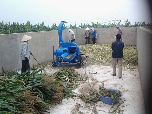 Máy băm cây bắp